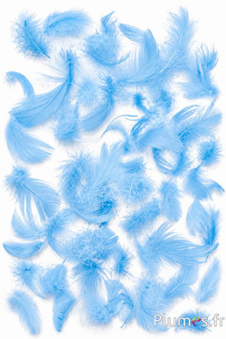 Oca - 4-6 cm - blu cielo